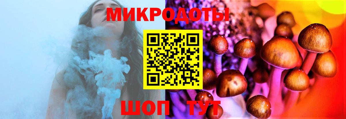 Абинск  Галлюциногенные грибы GOLDEN TEACHER  Вход с VPN 